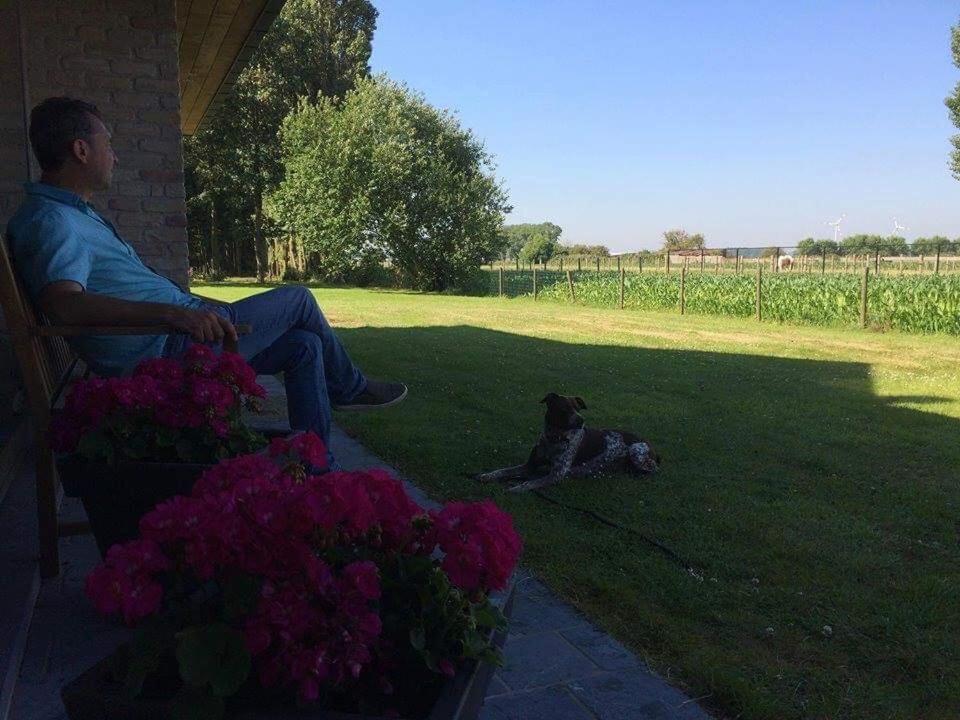 B&B Le jardin de grand-mére Oudenburg Exterior foto