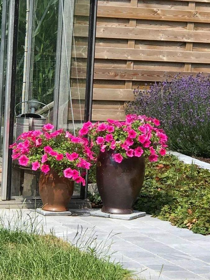 B&B Le jardin de grand-mére Oudenburg Exterior foto